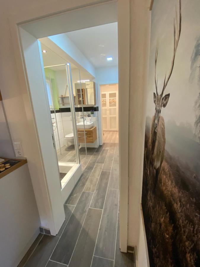 Alblounge Vip Appartement Neuffen エクステリア 写真